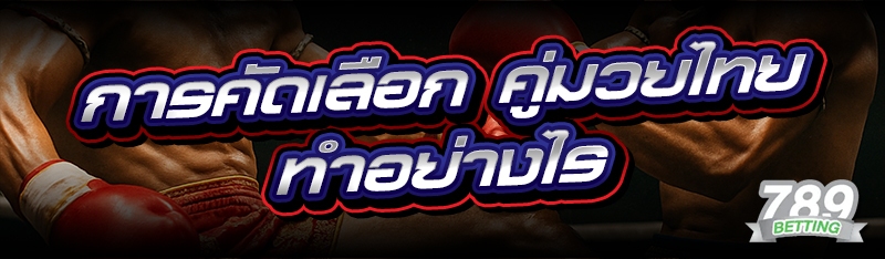 การคัดเลือก คู่มวยไทย ทำอย่างไร