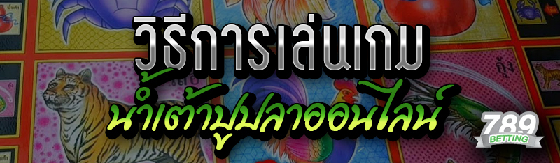 วิธีการเล่นเกมน้ำเต้าปูปลาออนไลน์