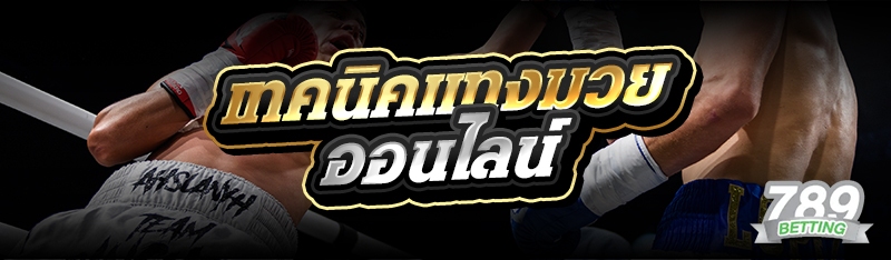 เทคนิคแทงมวยออนไลน์