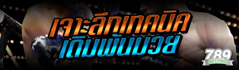 เจาะลึกเทคนิคเดิมพันมวย