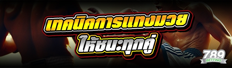 เทคนิคการแทงมวย ให้ชนะทุกคู่