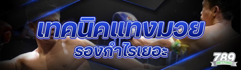 เทคนิคแทงมวยรอง กำไรเยอะ