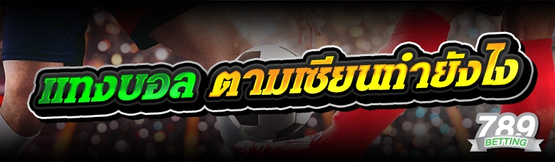 แทงบอล ตามเซียนทำยังไง